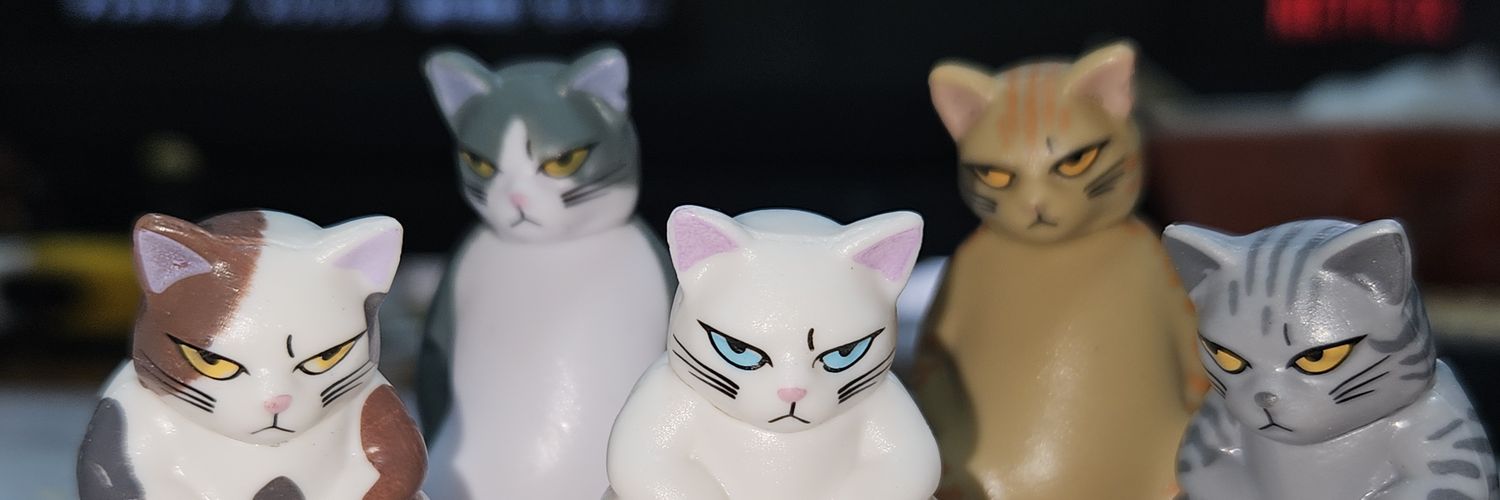 島ちゃん黒魂🌈 banner