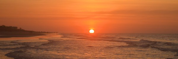 _TraderLuck Profile Banner