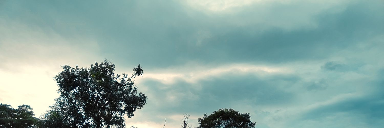 anisafiari's profile banner image