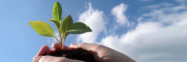 DMRI_Inc Profile Banner