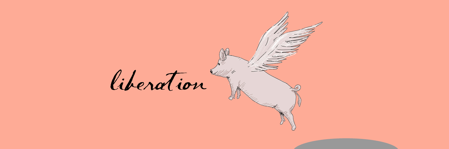 no_fur's profile banner image