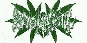 emmucula's profile banner image