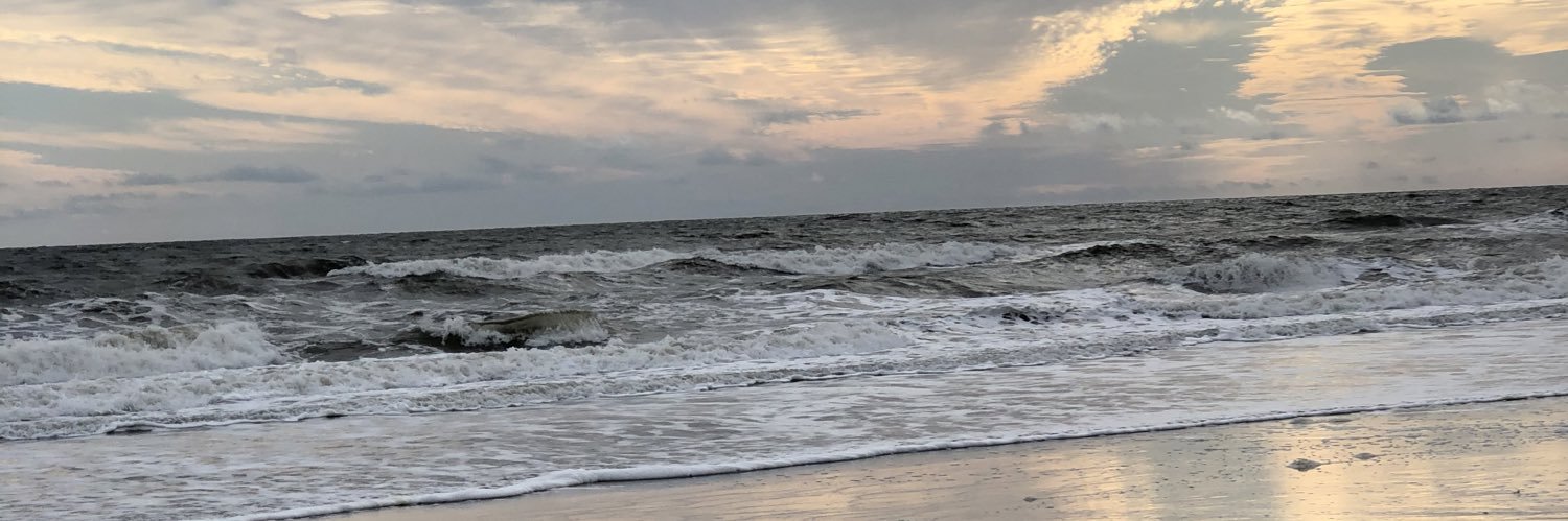 ltmd11's profile banner image