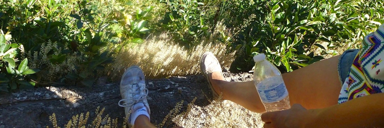 erinhalbert's profile banner image