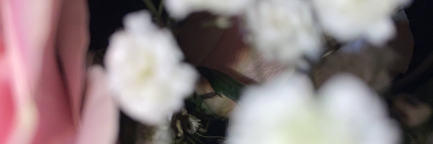 Starcandymi's profile banner image
