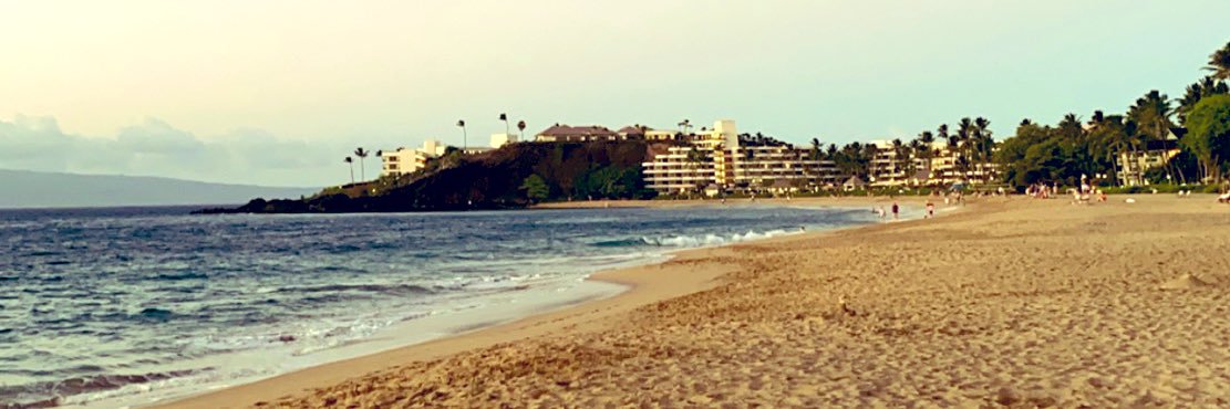 Kate Beckemeyer banner