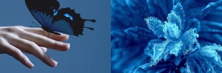 ElenaRossini4's profile banner image