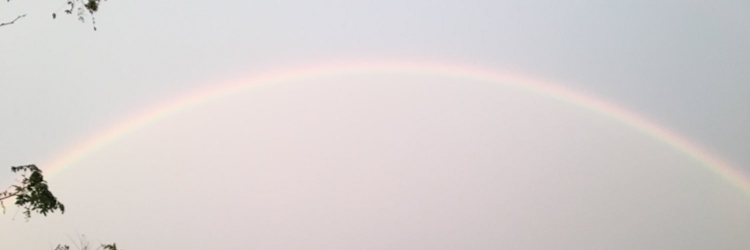 Leela4444's profile banner image