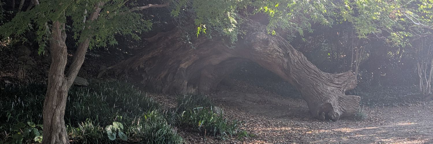 えんつっつ banner