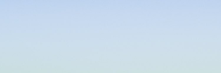 tofoo banner