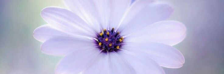 🇹🇷🇹🇷Lamar aĝa🇵🇰🇵🇰 banner