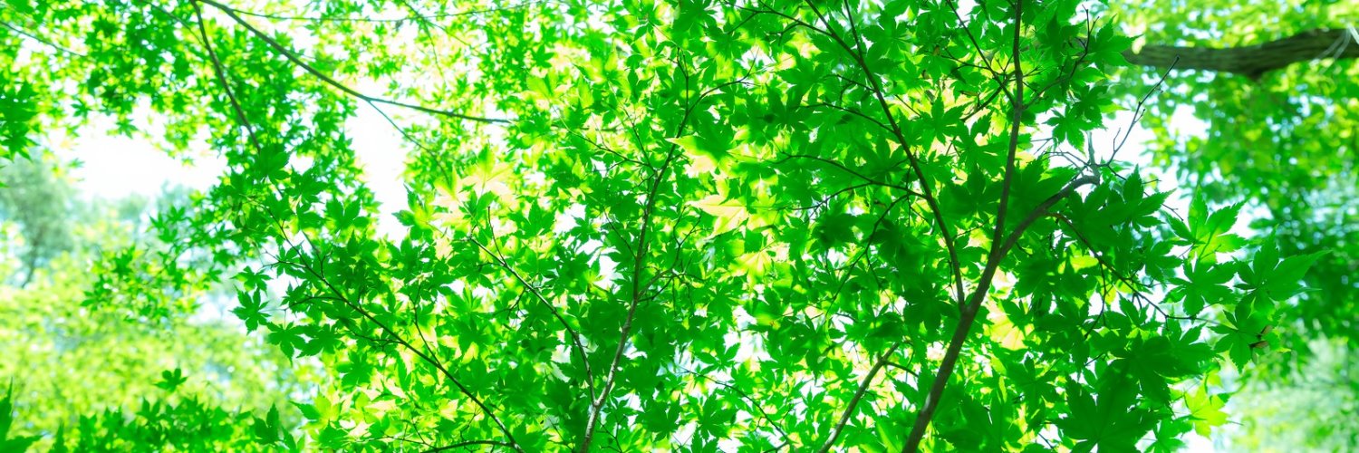 fxseikou's profile banner image