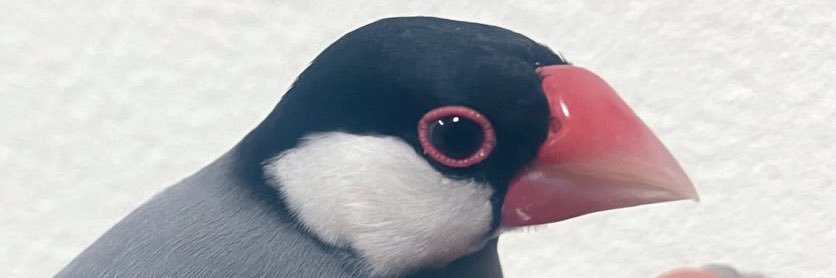 L_Rabbi13's profile banner image