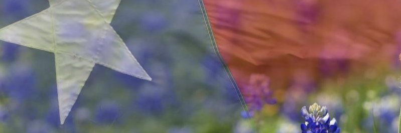 ntexbelle's profile banner image