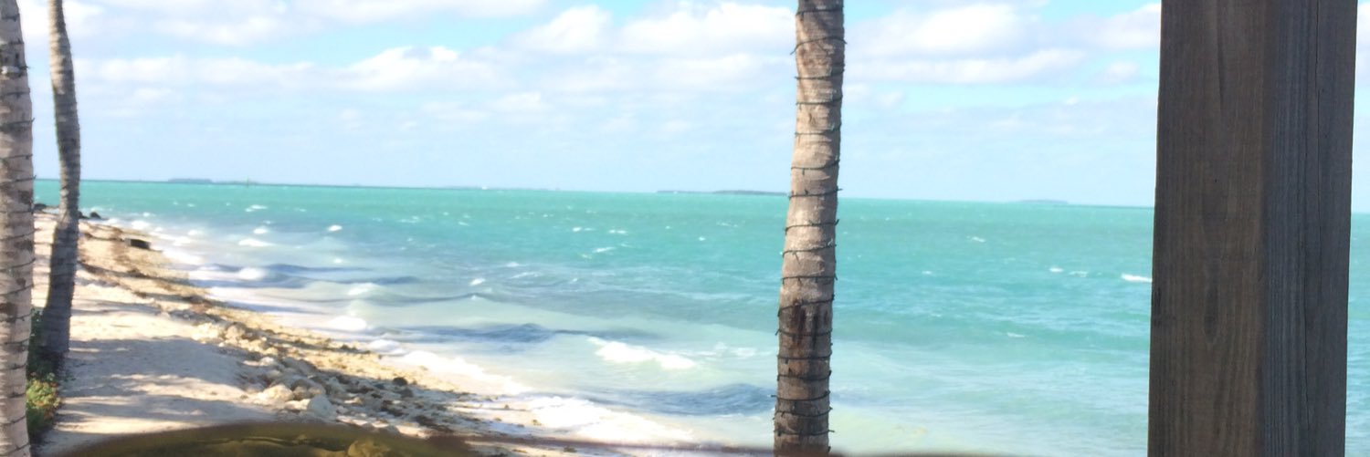 imcompliCAITedd's profile banner image
