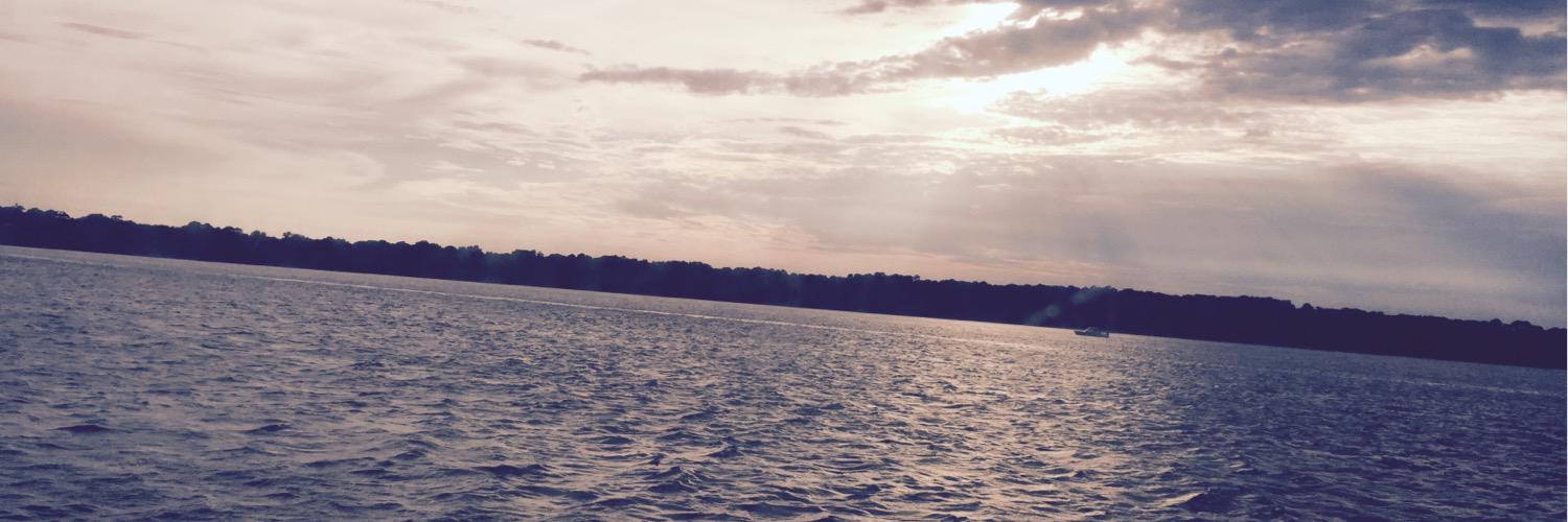 GailMoaney's profile banner image