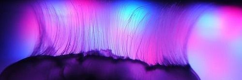 DeeLiscious's profile banner image