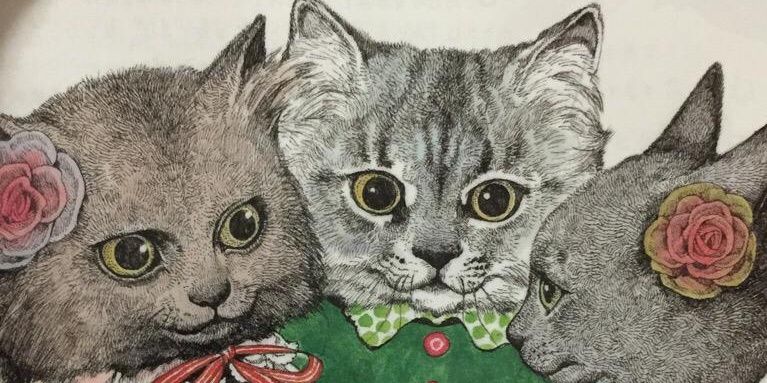 chittchi's profile banner image
