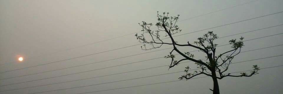 mukaddasur's profile banner image