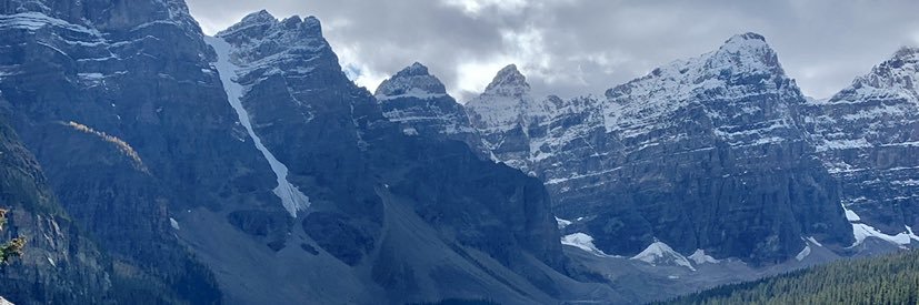Chris Tulip banner