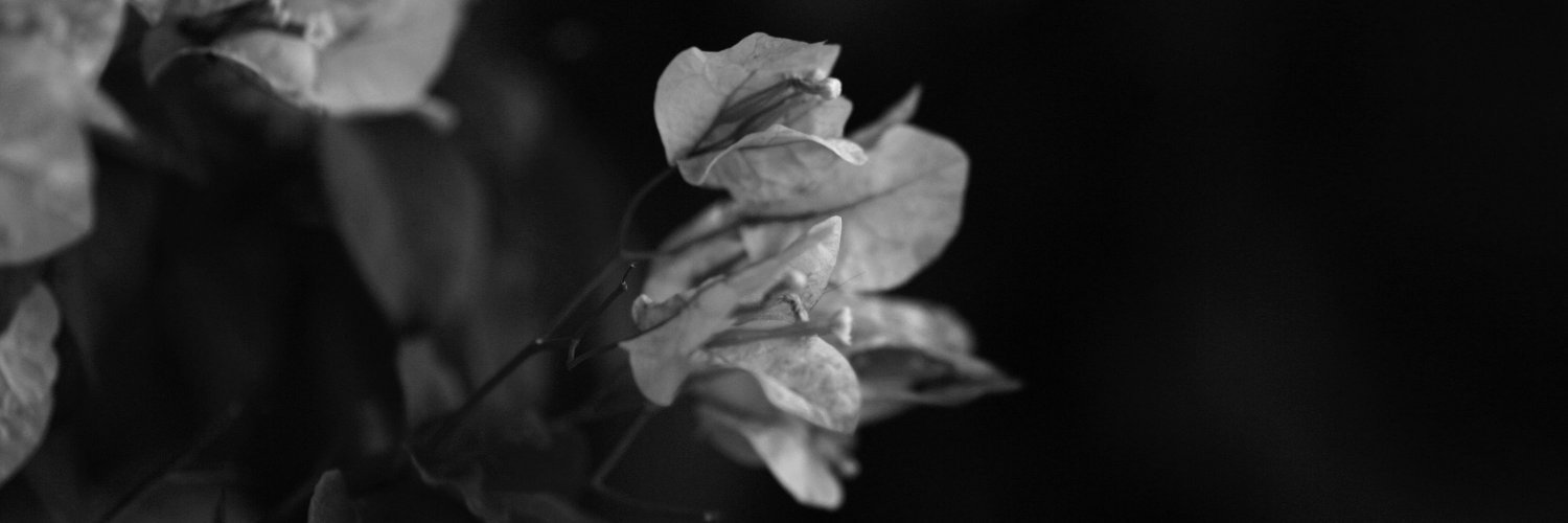 MrZetha's profile banner image