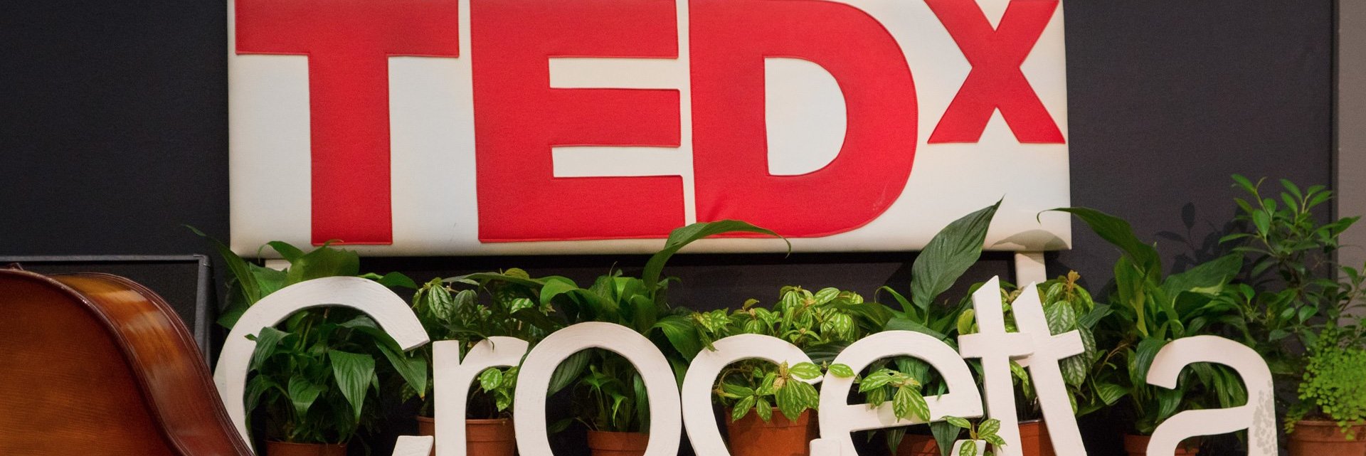 TEDxCrocetta's profile banner image