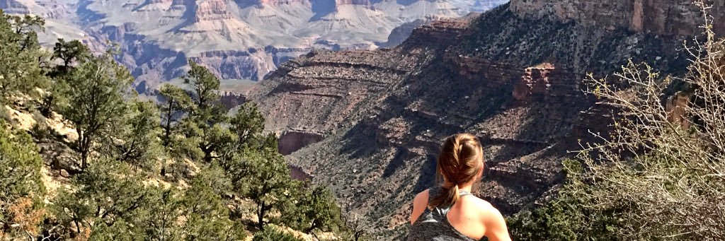 Emily Grob banner