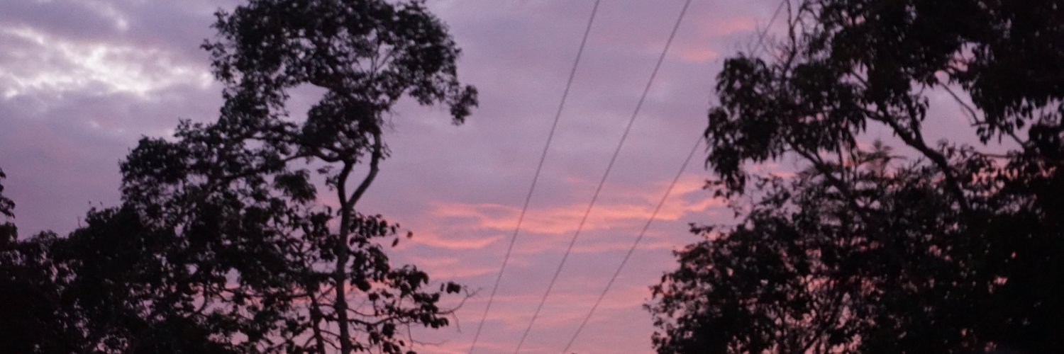 Paulaandreahc's profile banner image