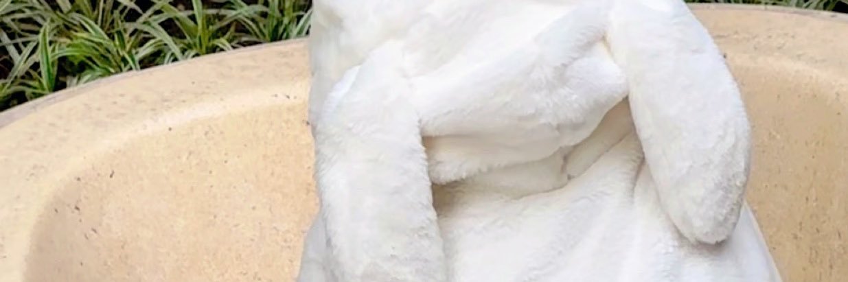 真楪伶(まちゃりん) banner