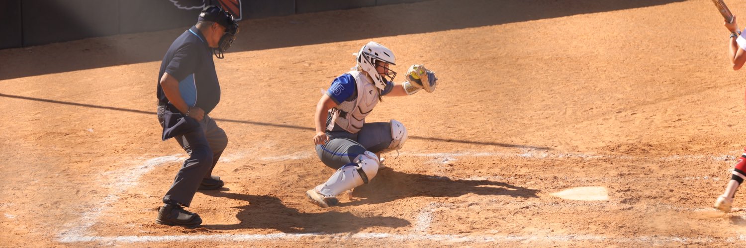 bradi hill💞 banner