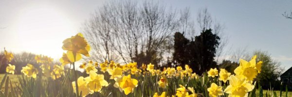 BBCGQT Profile Banner