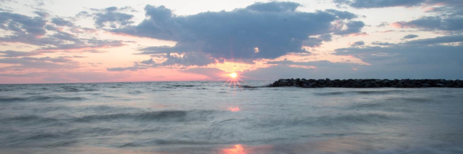 Mike Williams banner