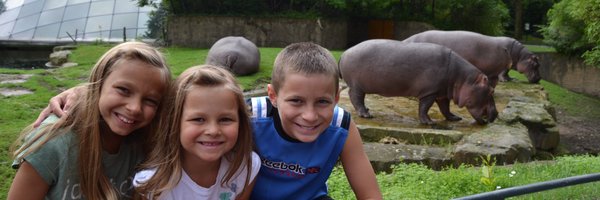 suzanne_teeter Profile Banner