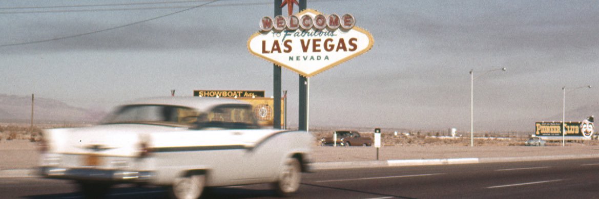 MegEldridge's profile banner image