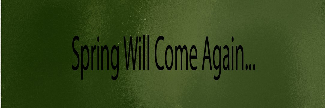 JShellenbergar's profile banner image