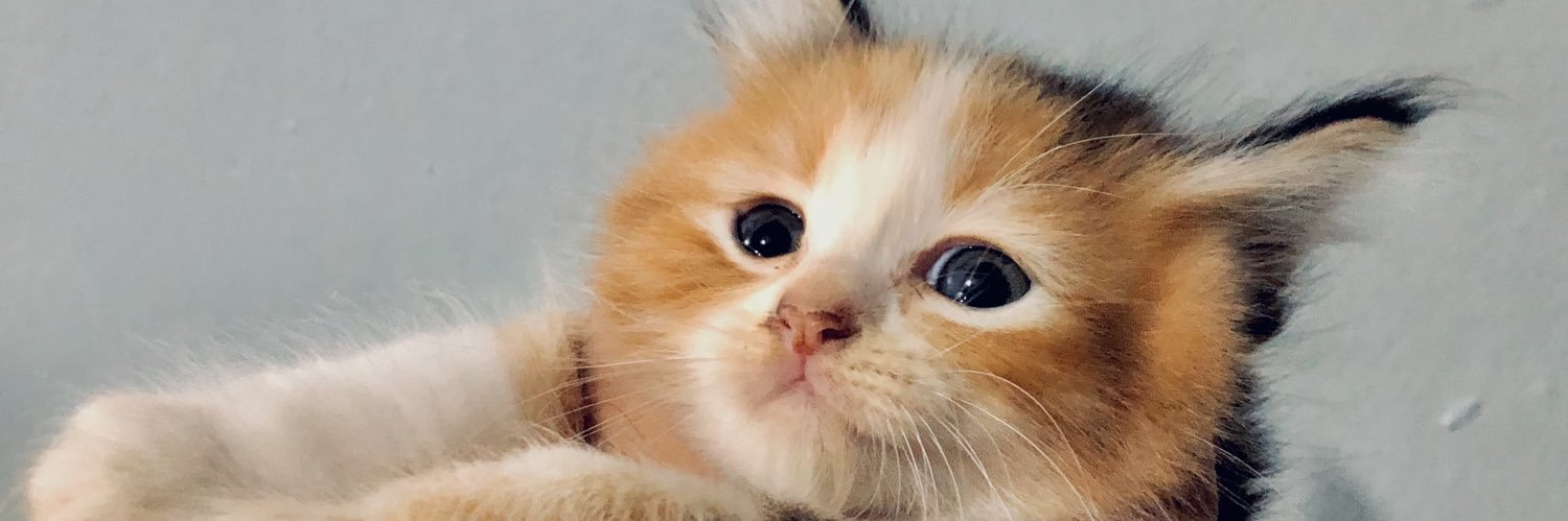 itsraingoutside's profile banner image