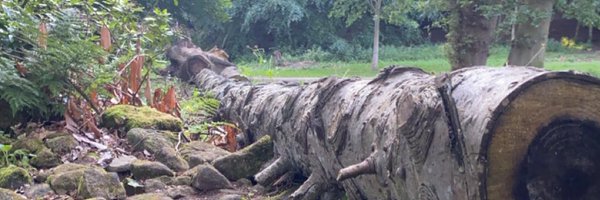 saad141105 Profile Banner