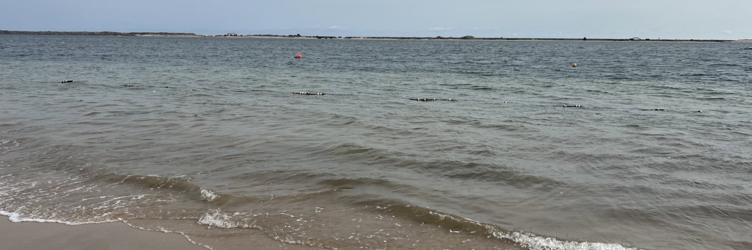 iEnemali's profile banner image