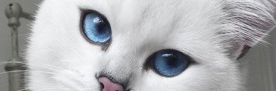 evpatoriy__'s profile banner image