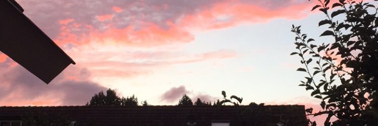 catodegraaf's profile banner image