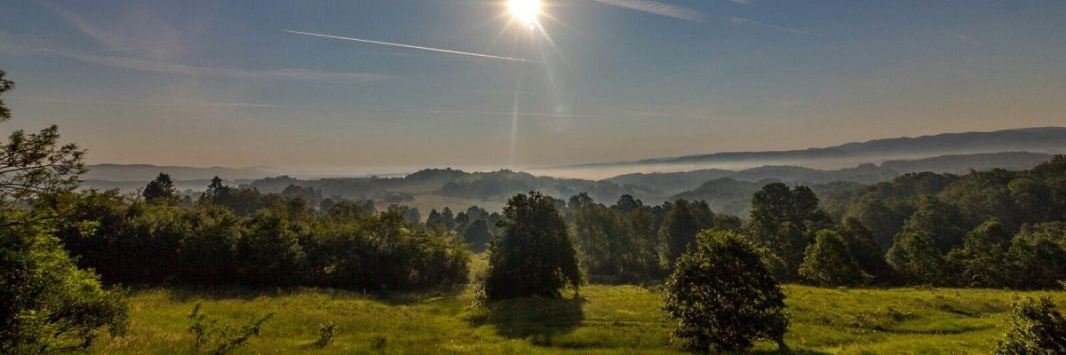 IvanGetacoin's profile banner image