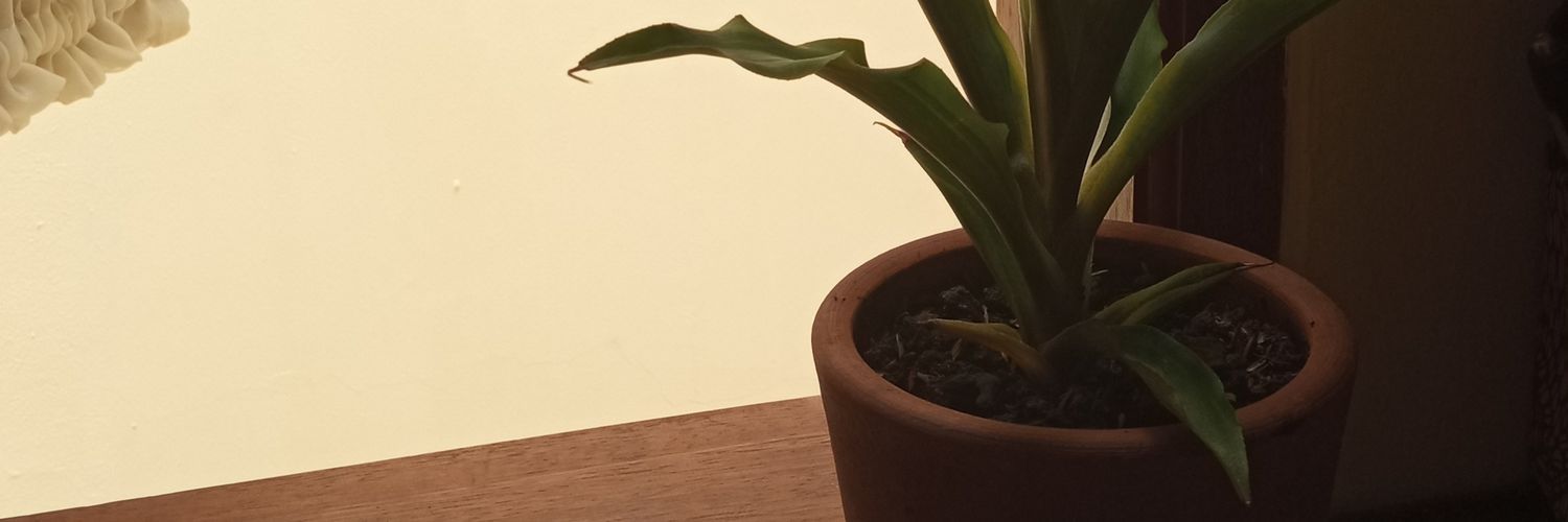 all and nothing. banner