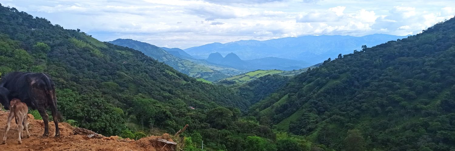 weramire's profile banner image