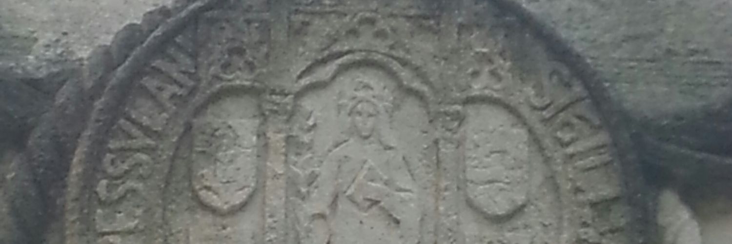 PMousseron's profile banner image