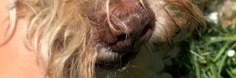 ArandaJenni15's profile banner image