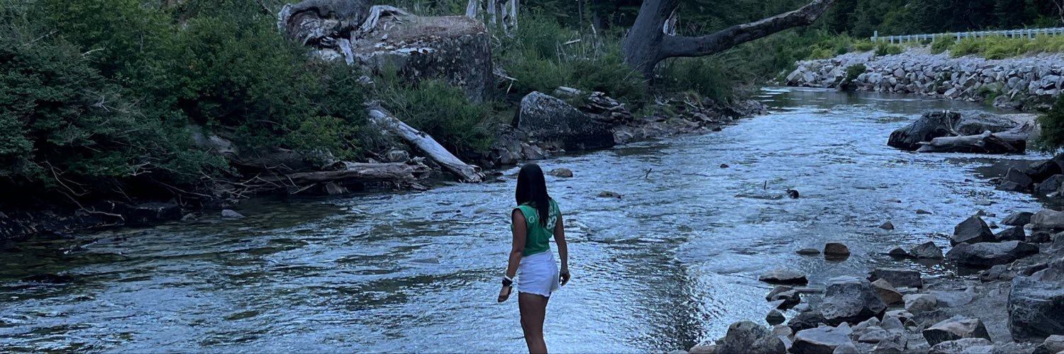 LulaFrascino's profile banner image