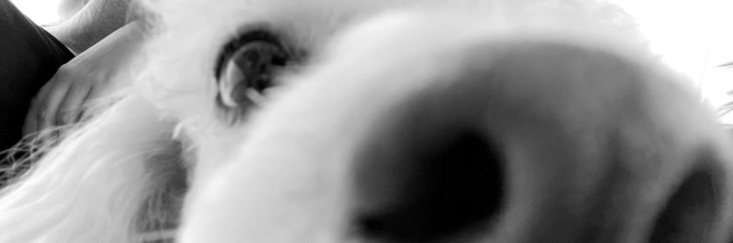 michelleee_710's profile banner image