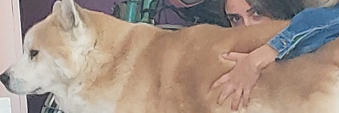 fatacustode's profile banner image