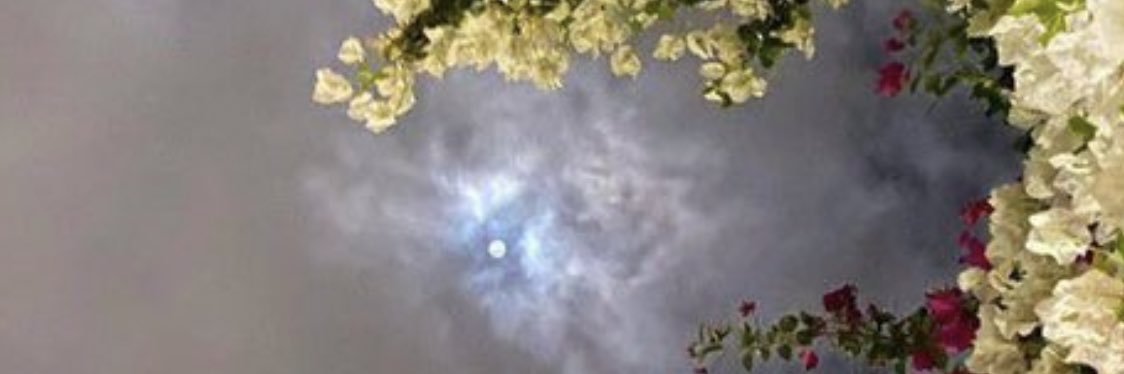 barroEH1's profile banner image