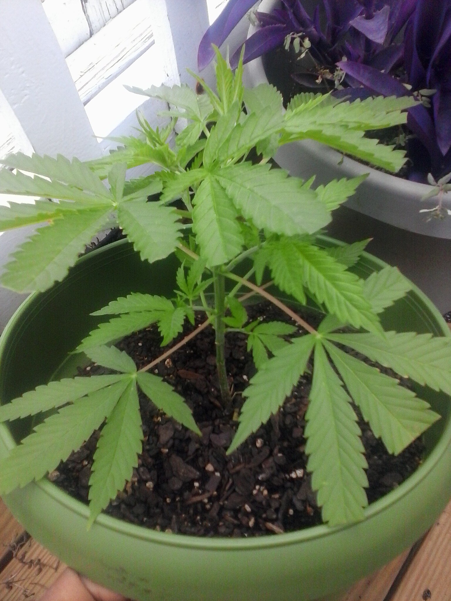 KeepItToked's profile banner image